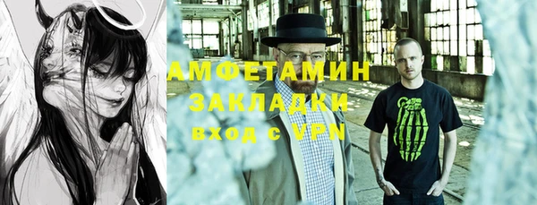 мет Алексин