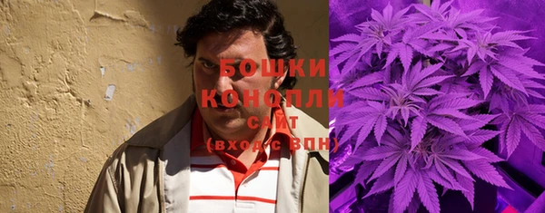 мет Алексин