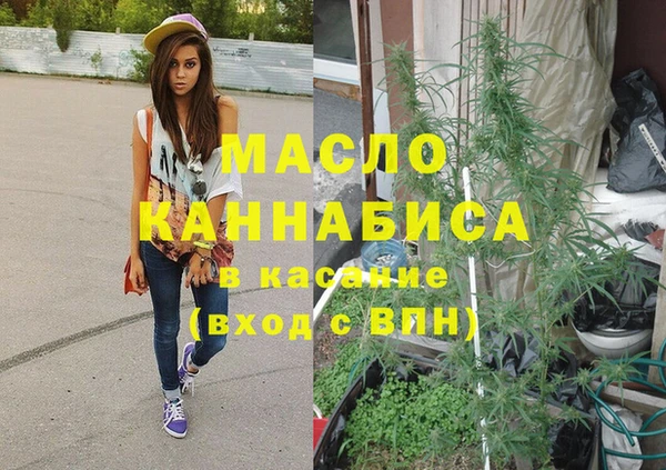 мет Алексин